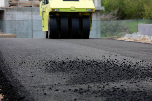 Best Driveway Pavers Near Me  in Paradise, NV