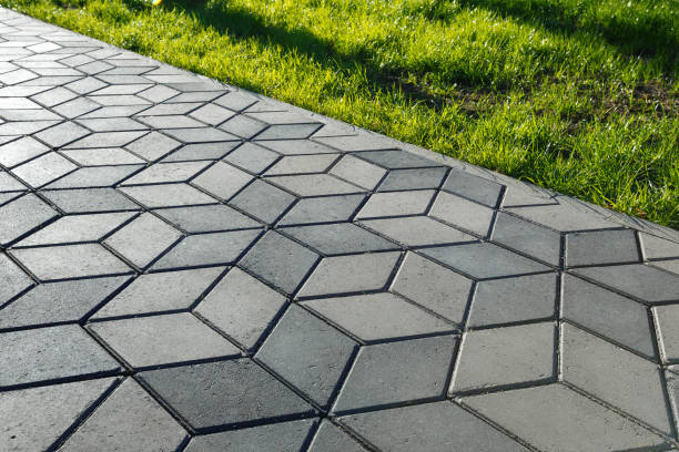 Best Decorative Driveway Pavers  in Paradise, NV