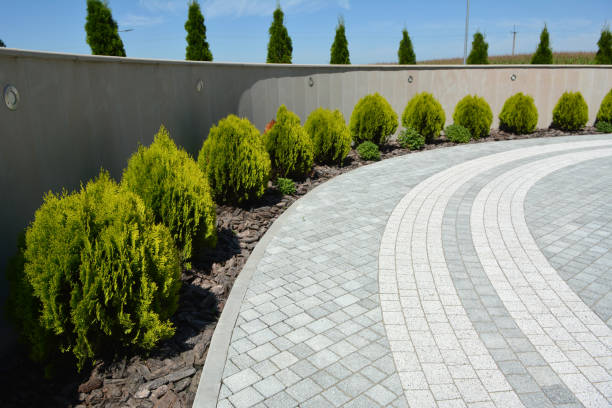 Best Driveway Repair Near Me  in Paradise, NV